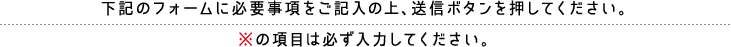 下記のフォームに必要事項をご記入の上、送信ボタンを押してください。