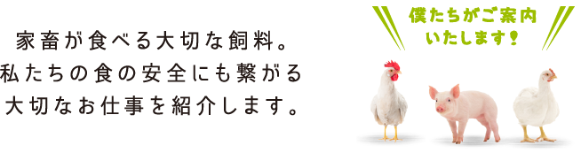 家畜が食べる大切な飼料。私たちの食の安全にも繋がる大切なお仕事を紹介します。